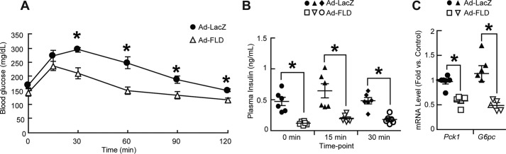 Figure 7.