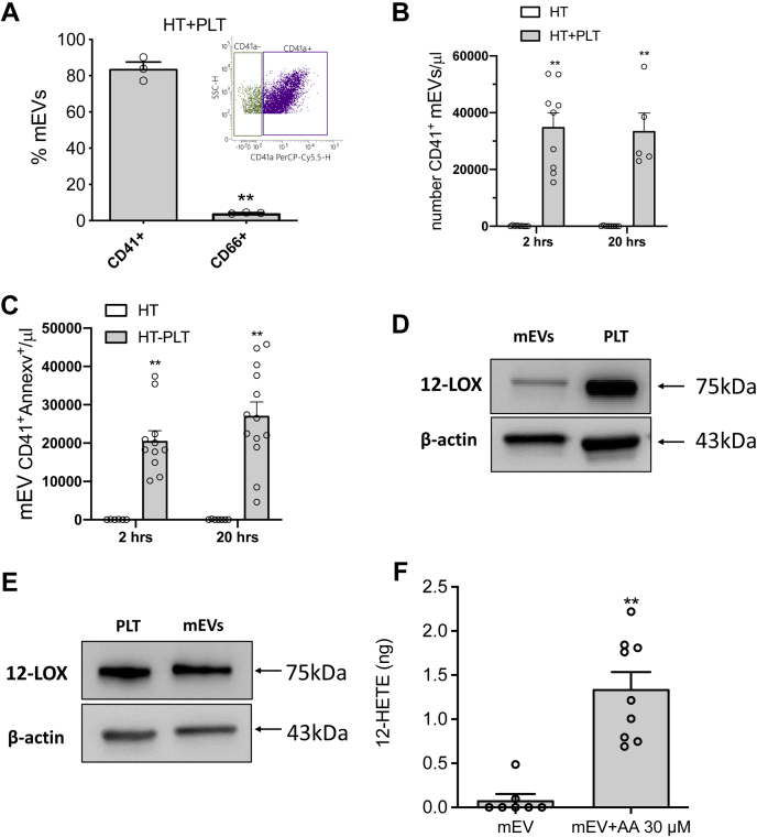 Fig. 6