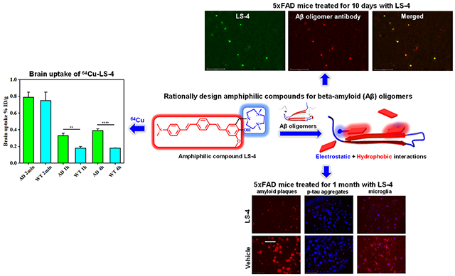 graphic file with name nihms-1770094-f0015.jpg