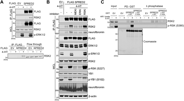 Figure 5