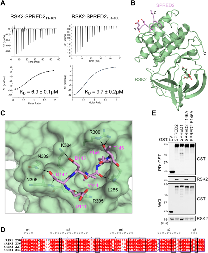 Figure 4