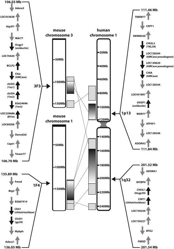 Figure 3.—