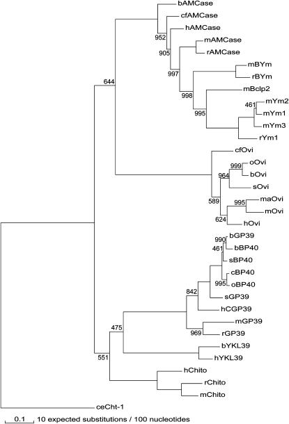 Figure 2.—