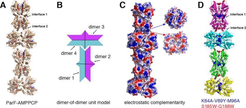 FIGURE 4.