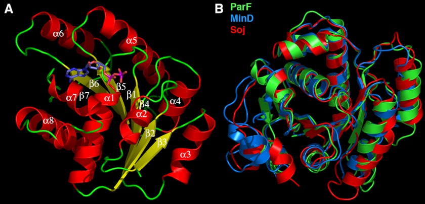 FIGURE 1.