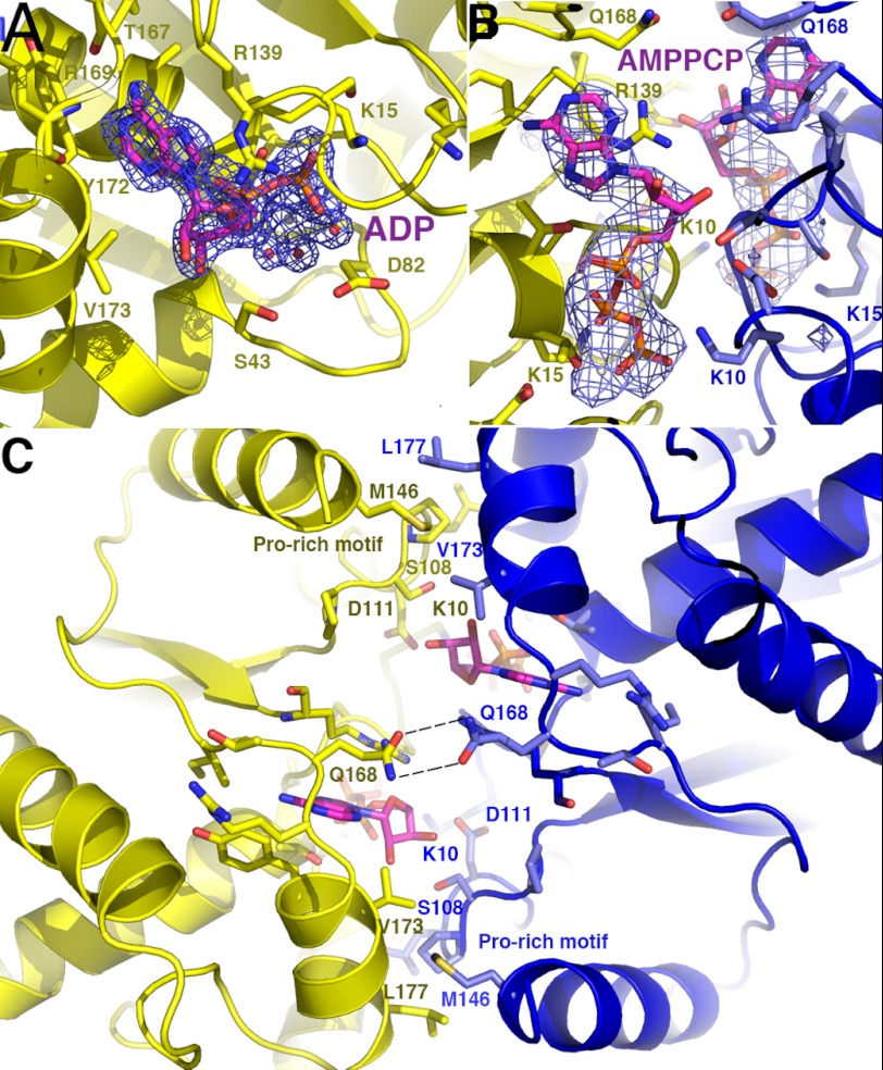 FIGURE 3.