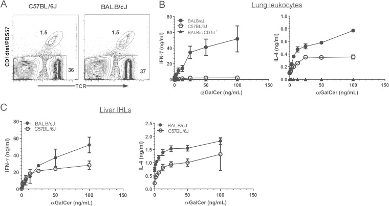 FIG 2