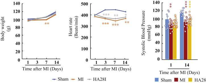 Figure 6