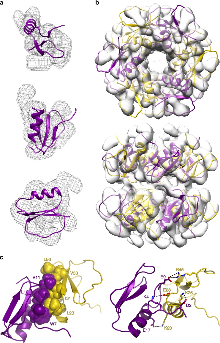 Fig. 6