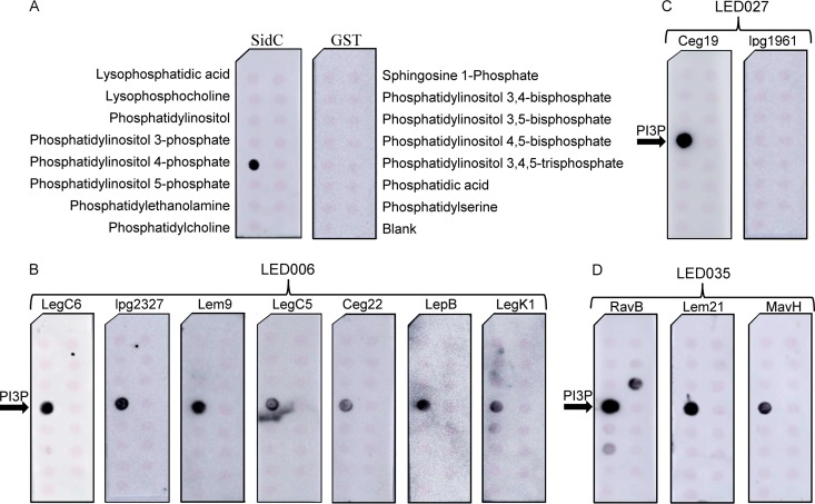 FIG 3