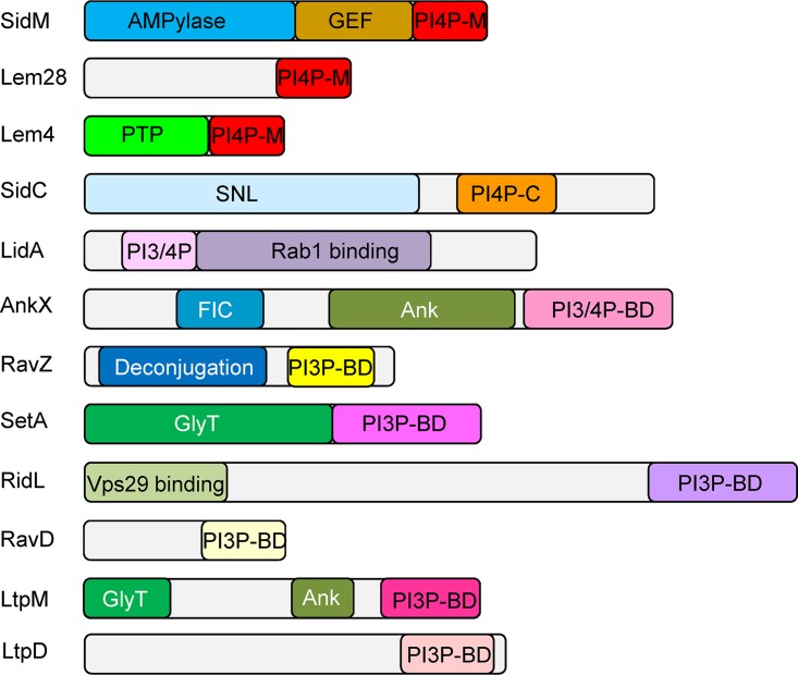 FIG 1