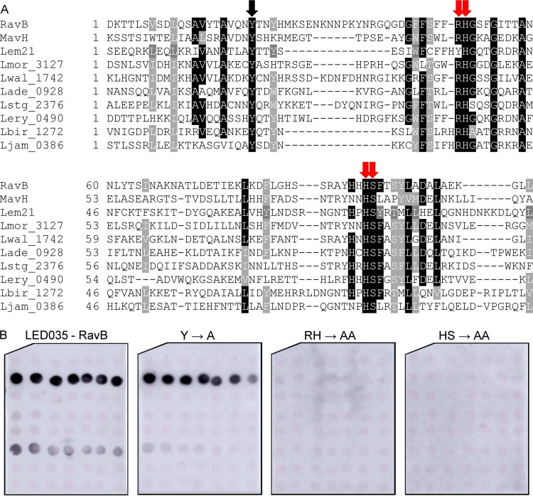 FIG 6