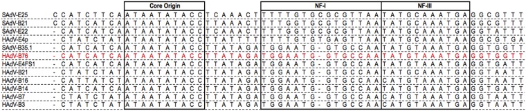 FIG 6