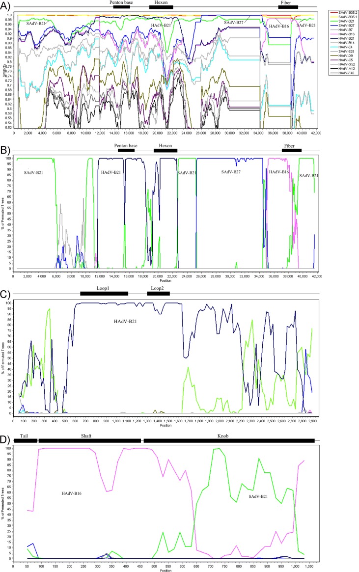 FIG 1