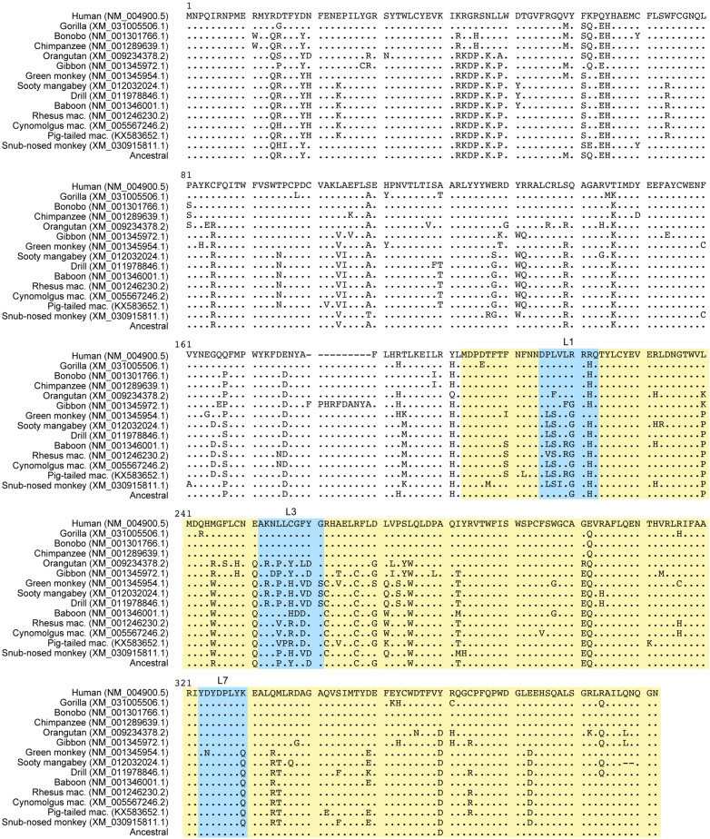 Figure 8—figure supplement 1.