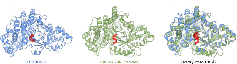 Figure 7—figure supplement 1.