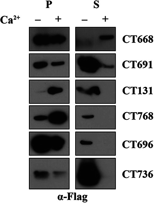 FIG 1