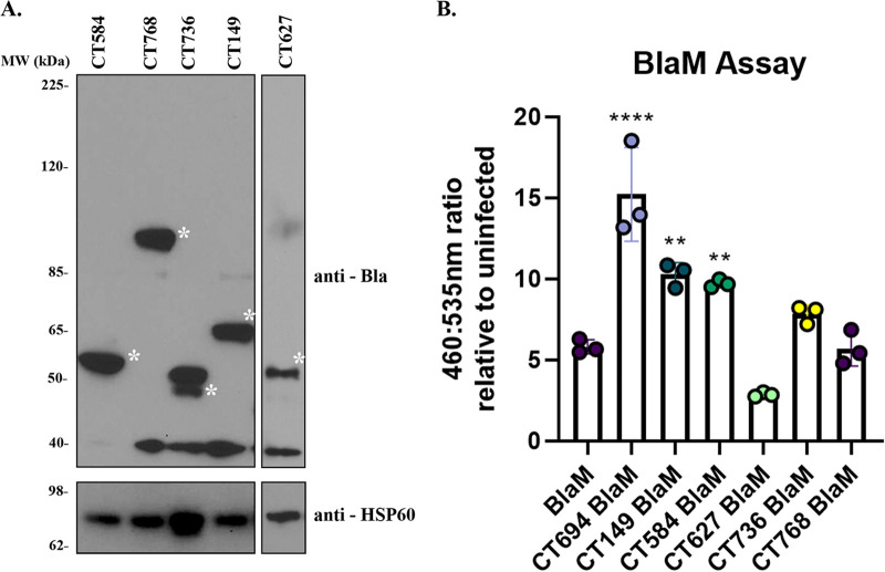 FIG 3