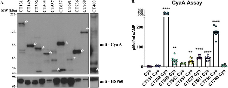 FIG 2