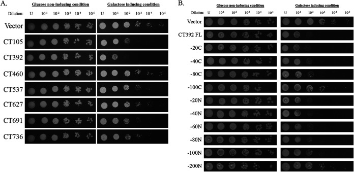 FIG 6