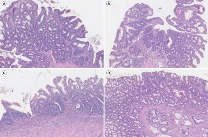 Fig. 2.