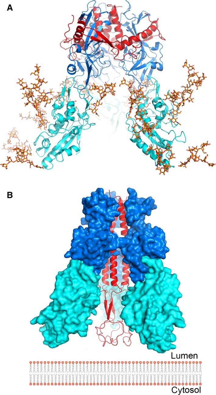 Figure 5