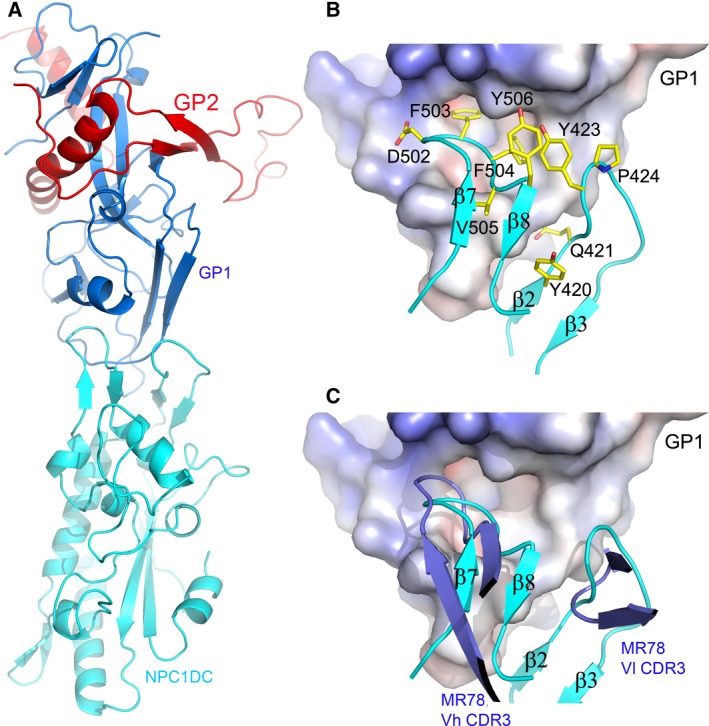 Figure 4