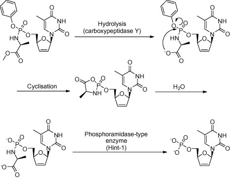 Scheme 2