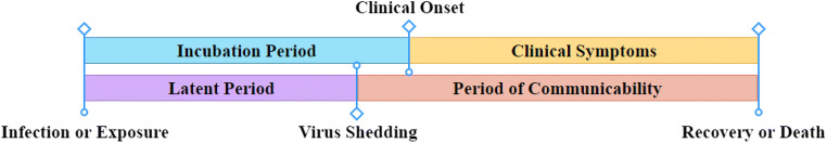 Fig. 9