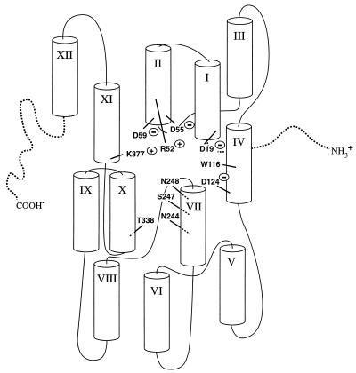 FIG. 5