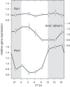 Figure 7.
