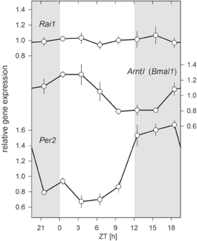 Figure 7.