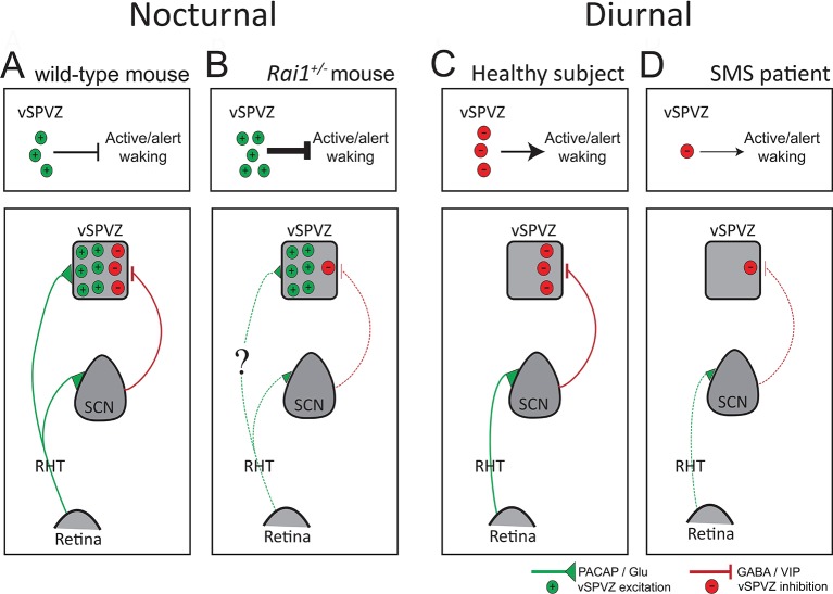 Figure 11.