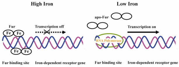 Figure 15