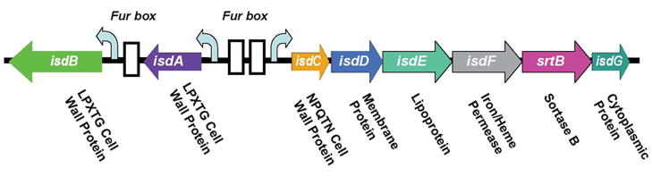 Figure 12