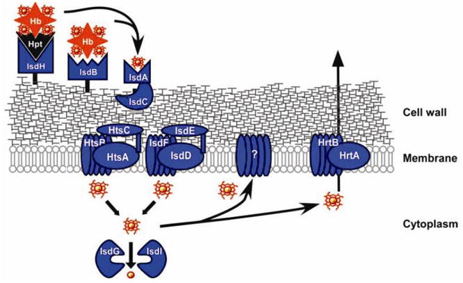 Figure 13