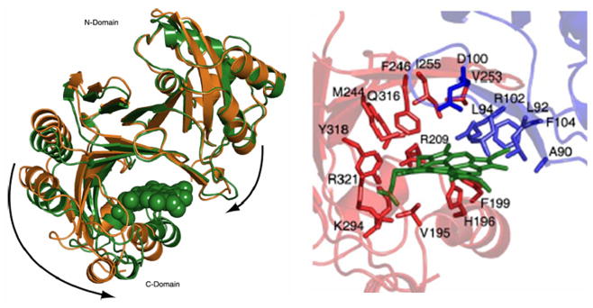 Figure 11