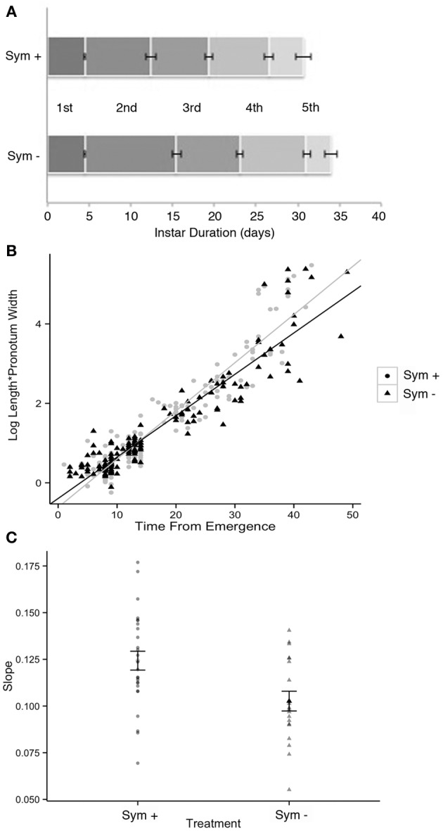 Figure 12