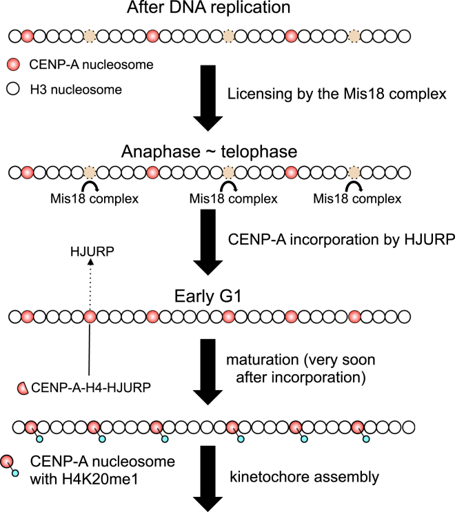 Figure 6