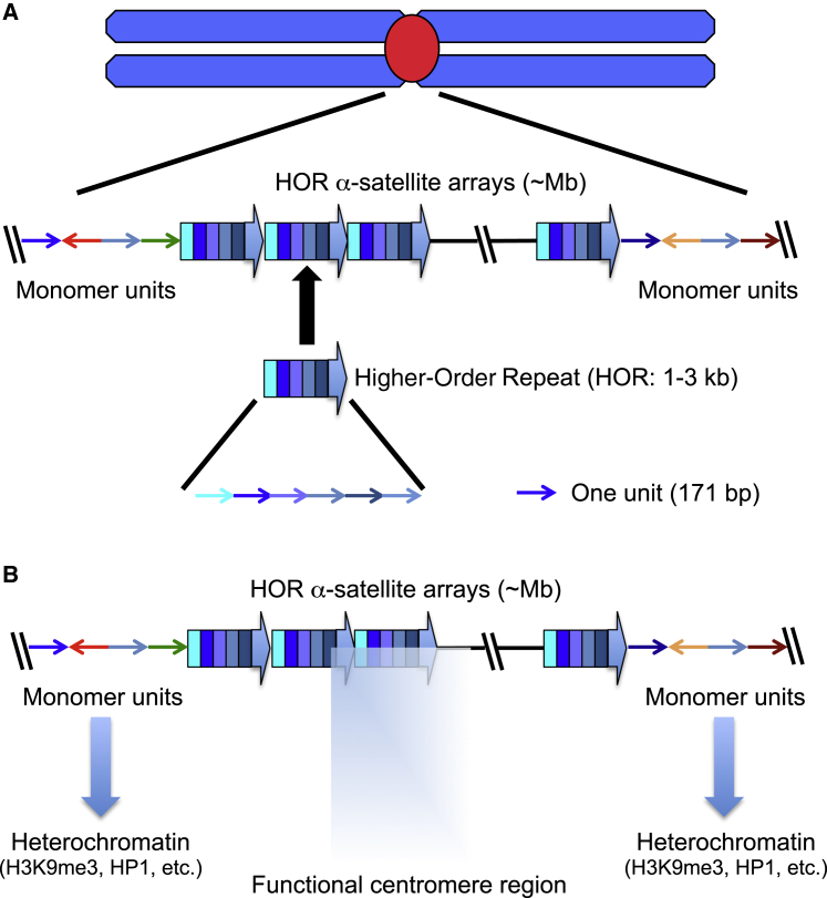 Figure 1