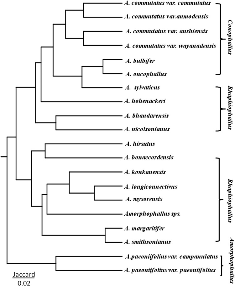 Fig. 4