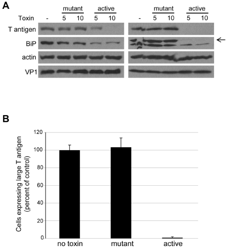 FIG 4 