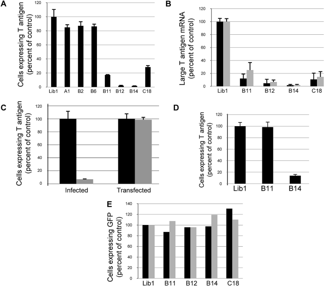 FIG 2 