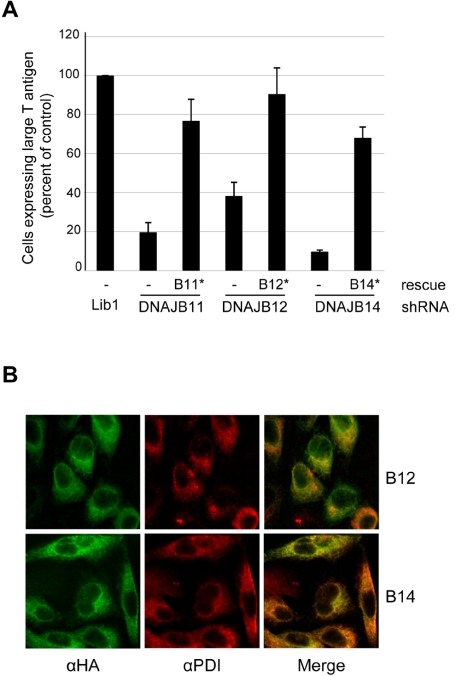 FIG 3 