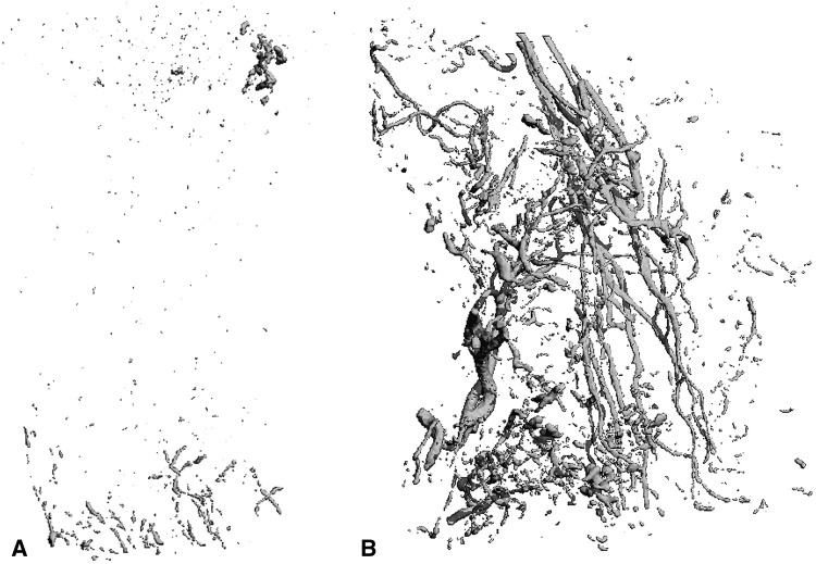 Fig. 2A–B