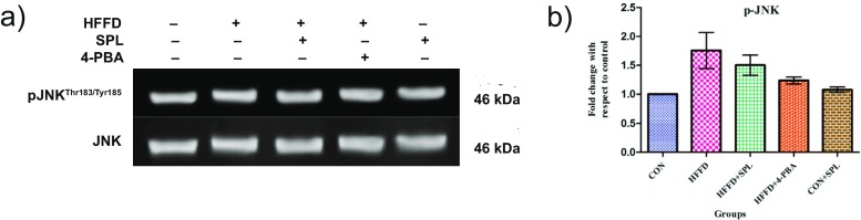 Fig. 5