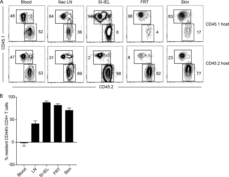 Figure 7.