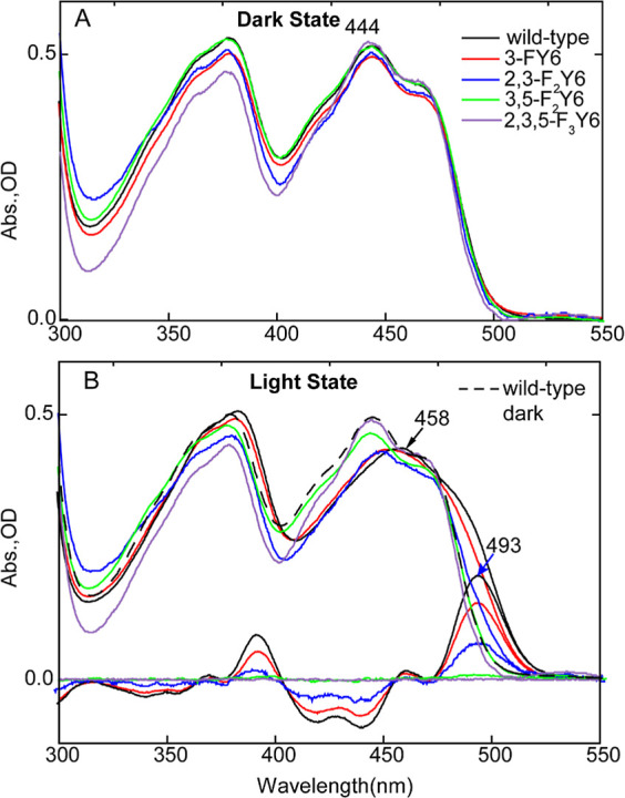 Figure 6