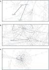 Fig. 3.