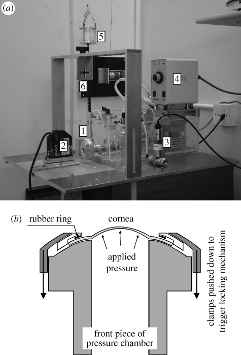 Figure 1.